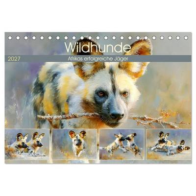 Wildhunde. Afrikas erfolgreiche Jäger (Tischkalender 2027 DIN A5 quer), CALVENDO Monatskalender
