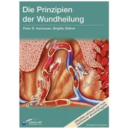 Die Prinzipien der Wundheilung, Fachbücher von Gerhard Kammerlander, Peter D. Asmussen, Brigitte Söllner