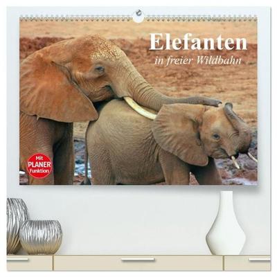 Elefanten in freier Wildbahn (hochwertiger Premium Wandkalender 2027 DIN A2 quer), Kunstdruck in Hochglanz