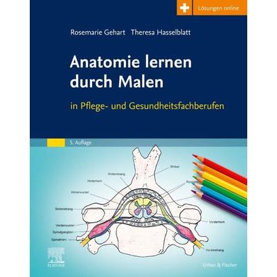Anatomie lernen durch Malen, Gebundene Ausgabe von Rosemarie Gehart,Theresa Hasselblatt, Urban & Fischer in Elsevier, 978-3-437-25162-7