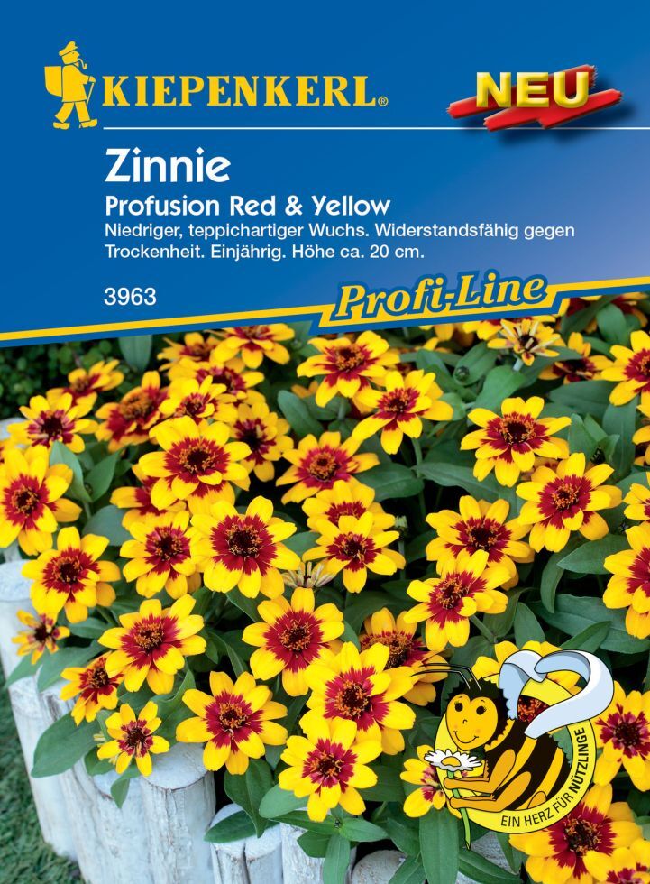 Pflanzen Kiepenkerl Zinnie Profusion Red & Yellow