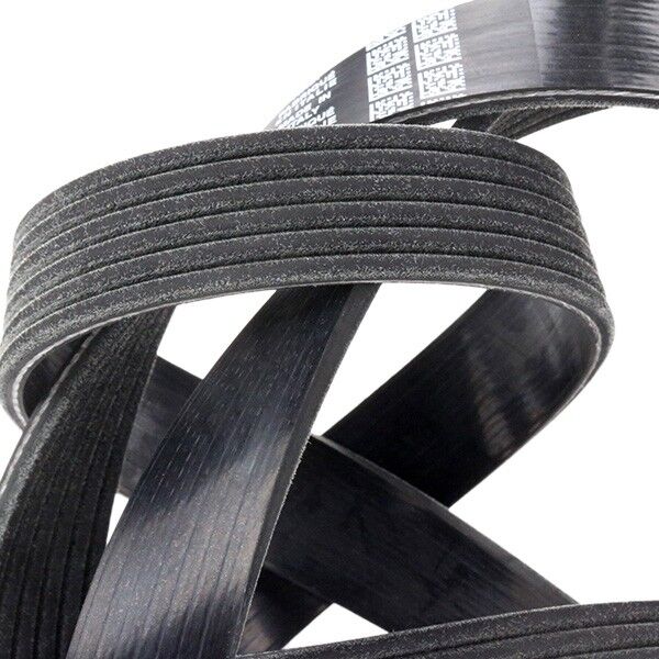 DAYCO 6PK1323S Serpentine belt
