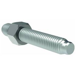Gesipa 1622546 Gewindedorn 1 St.