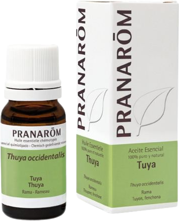 Pranarom Thuja Essential Oil 10 ml 10 ml