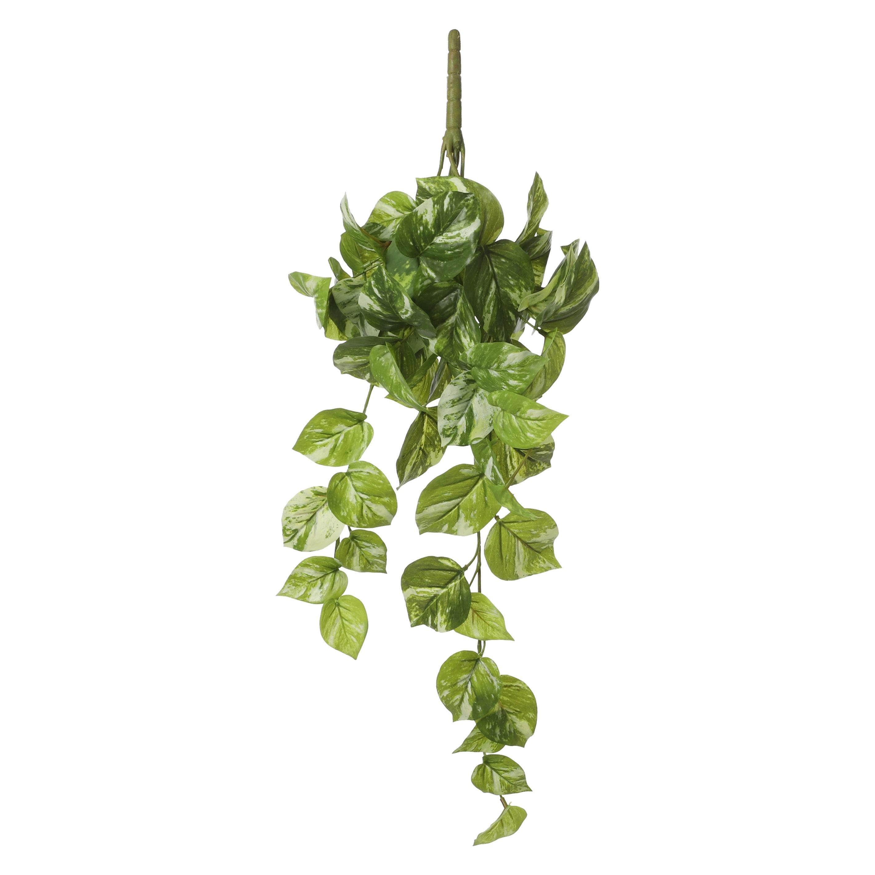 Mica Decorations Potos (58 cm) (1074939)