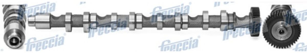 Nockenwelle FRECCIA CM05-2196