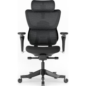 FlexiSpot Bürostuhl C7B-Max, schwarz, Stoff / Netz, mit Kopfstütze, belastbar bis 136 kg