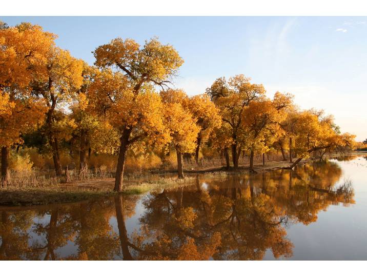 Papermoon HERBST LANDSCHAFT-CHINA SEE WALD BÄUME STRAND SONNE