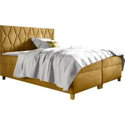 BOXBETT Inez - H3