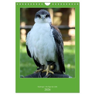 Raubvögel - Die Jäger der Lüfte (Wandkalender 2026 DIN A4 hoch), CALVENDO Monatskalender