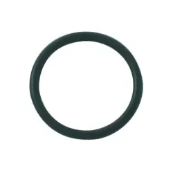 Kludi O-Ring 20 x 2 92503311-00 neutral