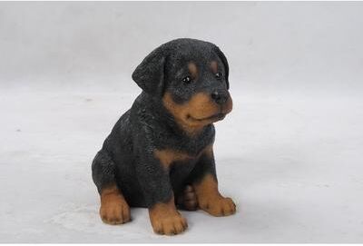 Hi-Line Gift Ltd. Rottweiler Puppy