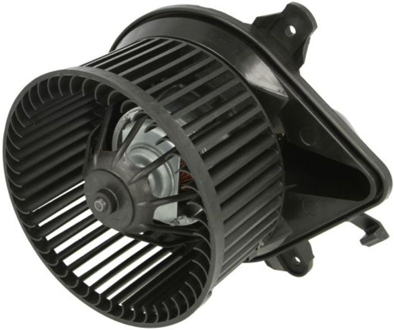 Elektromotor, Innenraumgebläse THERMOTEC DDP009TT