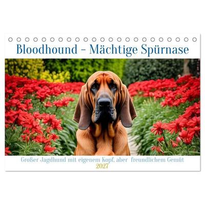Bloodhound - Mächtige Spürnase (Tischkalender 2027 DIN A5 quer), CALVENDO Monatskalender