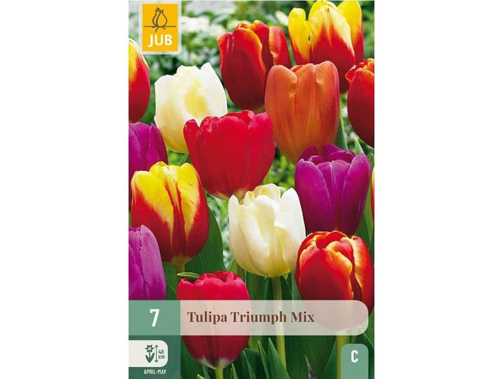 Tulp triumph mix 7 stuks