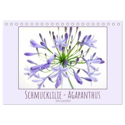 Schmucklilie - Agapanthus (Tischkalender 2027 DIN A5 quer), CALVENDO Monatskalender