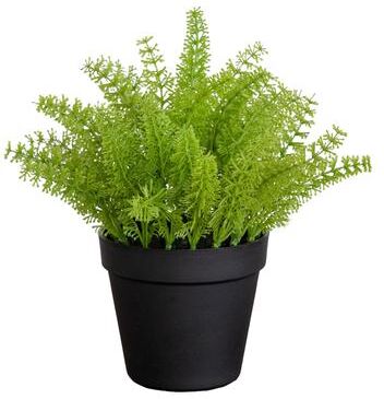 Nearly Natural 11-in Artificial Mini Fern Plant