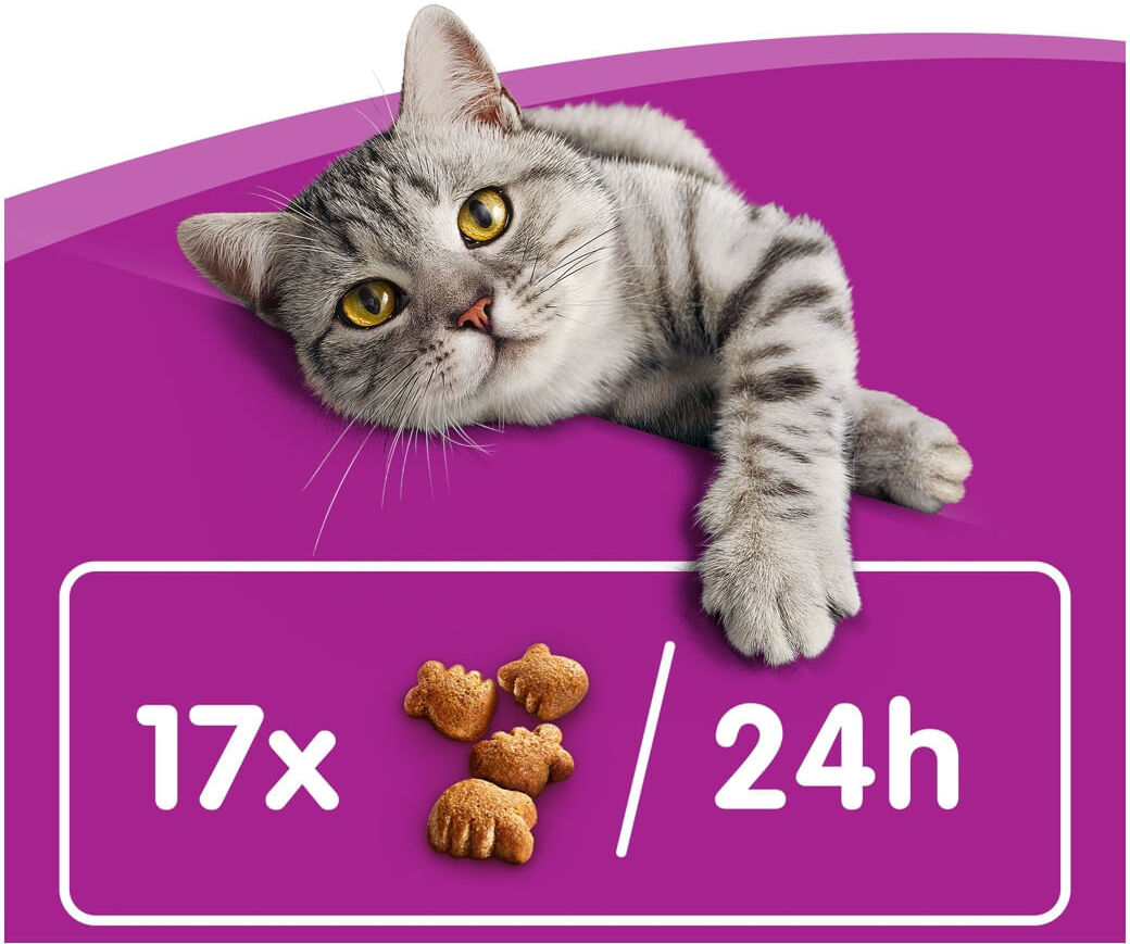 Whiskas Snack Gatto Dentabites 40G
