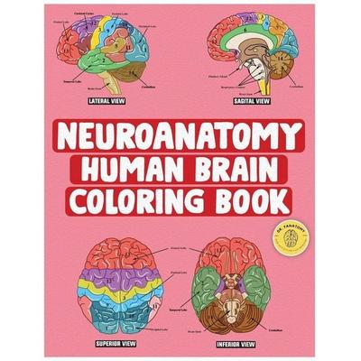 Neuroanatomy Human Brain Coloring Book, Taschenbuch von Fanatomy, Dr. Fanatomy, 978-0-645-19347-3