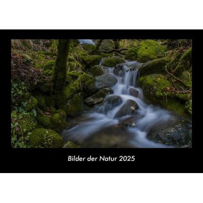 Bilder der Natur 2025 Fotokalender DIN A3