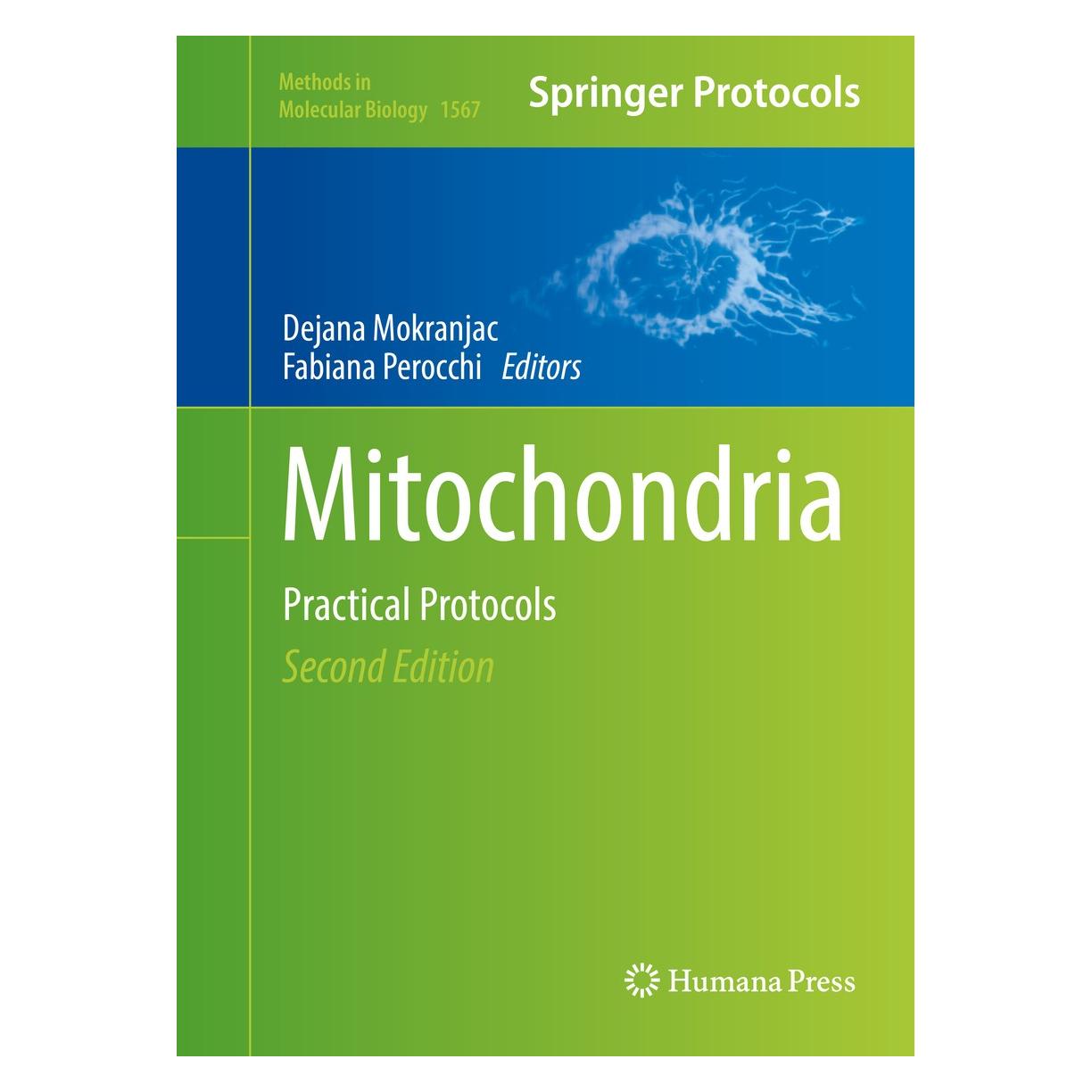 Springer Mitochondria (Englisch, Hardcover, Dejana Mokranjac, Fabiana Perocchi) (9781493968220)