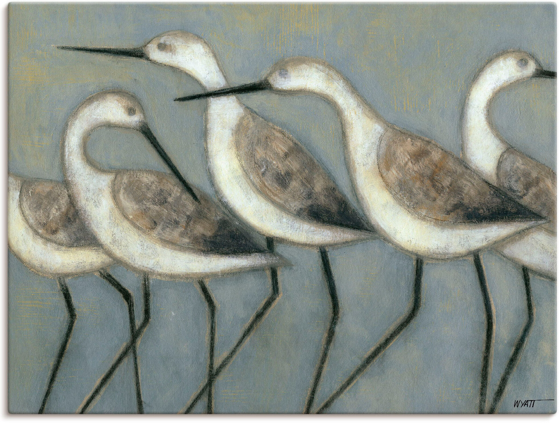 Wandbild ARTLAND "Küstenvögel I", grau (farbe bild(er): grau), B:80cm H:60cm, Bilder, als Leinwandbild, Poster in verschied. Größen