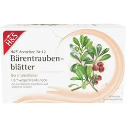 H&S Arzneitee Bärentraubenblätter 20X2.7 g Filterbeutel