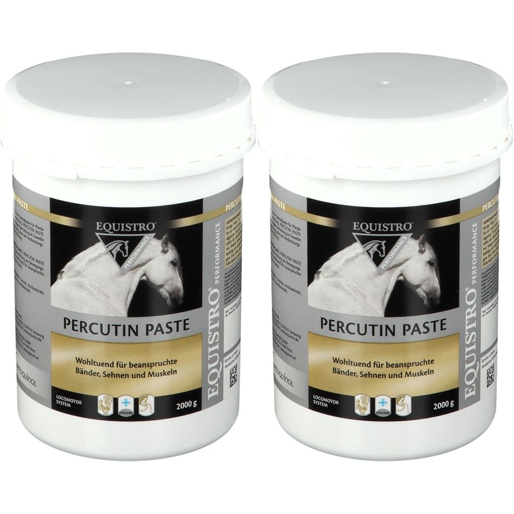 Equistro Percutin Paste äußerlich vet. Doppelpack 2x2 kg