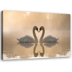 LEINWANDBILD Schwäne auf einem Teich 120x80cm