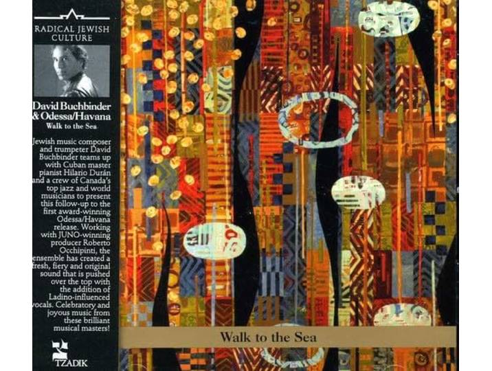David Buchbinder - Walk To The Sea