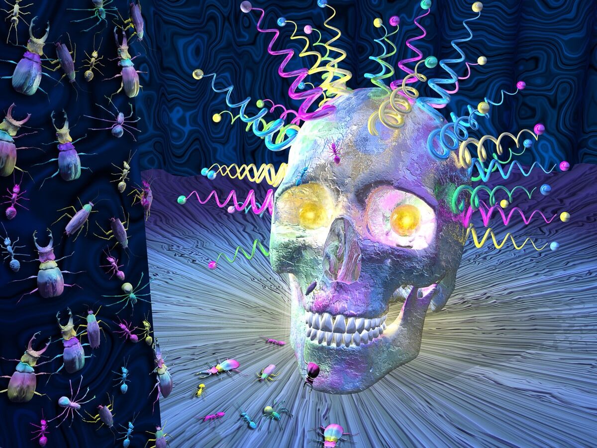 Fototapete PAPERMOON "Psychedelischer Schädel", bunt, B:5m L:2,8m, Vlies, Tapeten, Fototapete bunt B/L: 5m x 2,8m, Rollen: 1