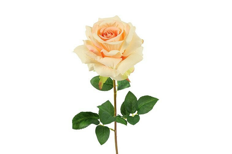 Countryfield zijden sjaal Rosa Compasion, zalmkleur, 72 cm