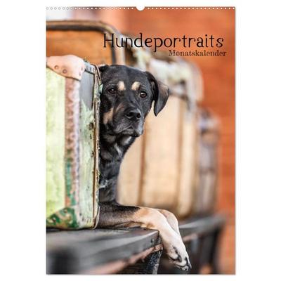Hundeportraits - Monatskalender (Wandkalender 2026 DIN A2 hoch), CALVENDO Monatskalender