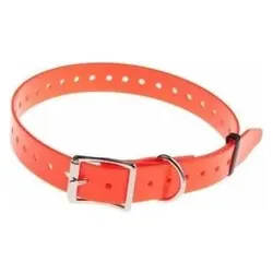 Num'axes Fluo (Hund, Allgemein, Spazieren), Halsband + Leine