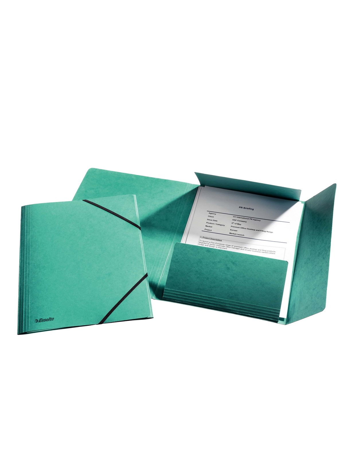 Esselte 3-Flap Folder Elastic Cardboard A4 Green