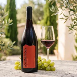 TerraVentoux 2023 TerraVentoux Ventoux 2023 Grenache,Syrah Frankreich