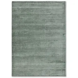 Teppich SCHÖNER WOHNEN ISALIE (BL 200x300 cm) - BL 200x300 cm