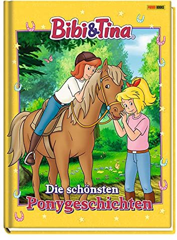 Claudia Weber - Bibi & Tina: Die schönsten Ponygeschichten: Geschichtenbuch - Preis vom 13.10.2026 19:28:25 h