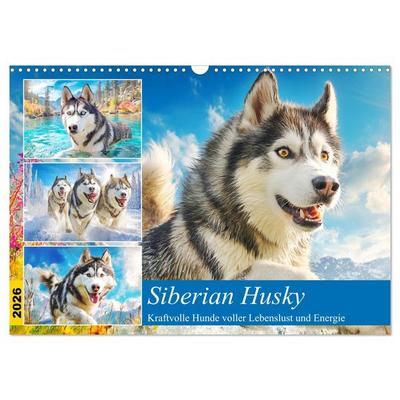 Siberian Husky. Kraftvolle Hunde voller Lebenslust und Energie (Wandkalender 2026 DIN A3 quer), CALVENDO Monatskalender