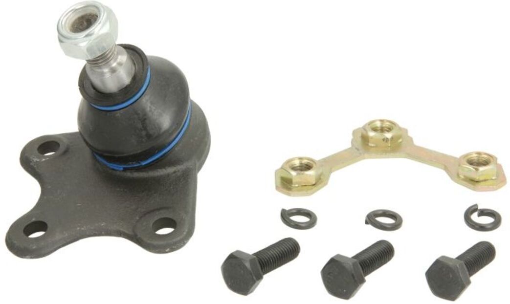 Junta de suporte REINHOCH RH03-0002