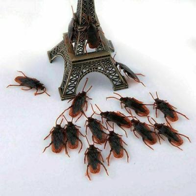 All Categories Goods Realistic Rubber Cockroaches Creepy Gag Toy Set For Pranks & Halloween Fun Realistic Rubber Cockroaches Creepy Gag Toy Set For Pranks & Halloween Fun
