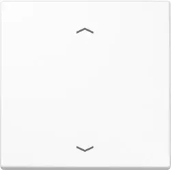 Jung Wippe Symbole aws LS 990 P WW LS990PWW