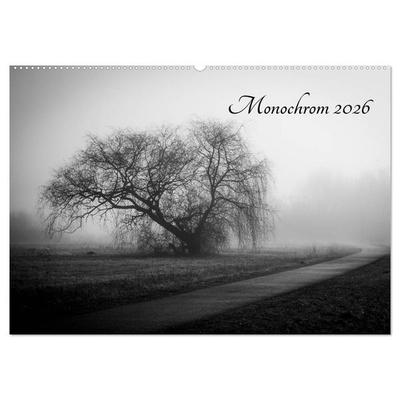Monochrom 2026 (Wandkalender 2026 DIN A2 quer), CALVENDO Monatskalender