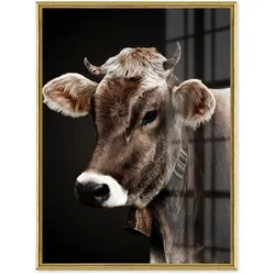La Casa »Cow Portrait« Glasbild 90x120 cm gerahmt