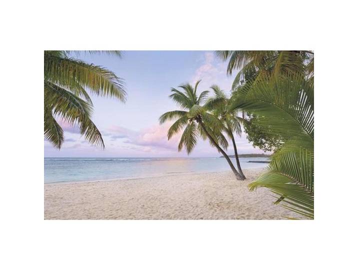 VLIESTAPETE SH086-VD4 PARADISE MORNING