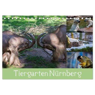 Tiergarten Nürnberg (Tischkalender 2026 DIN A5 quer), CALVENDO Monatskalender