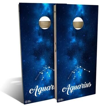Skip's Garage Aquarius Outdoor Cornhole Board Set