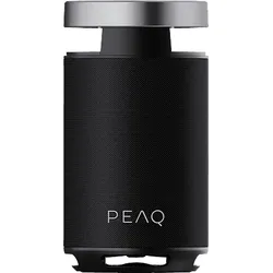 PEAQ PPS 170 Partyspeaker, Schwarz