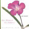 Loki Schmidt - Die Blumen des Jahres - Preis vom 04.10.2026 03:51:26 h