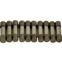 Wolf Feinsicherung 6,3A, Mittelträge 8902573 für R12, R16, R32